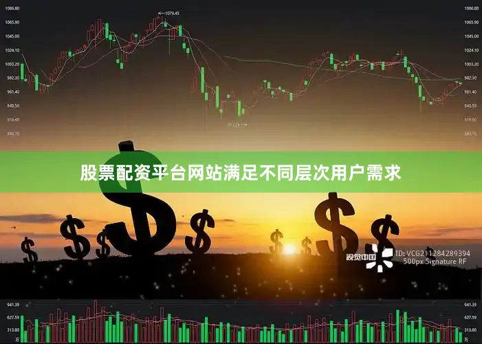 股票配资平台网站满足不同层次用户需求